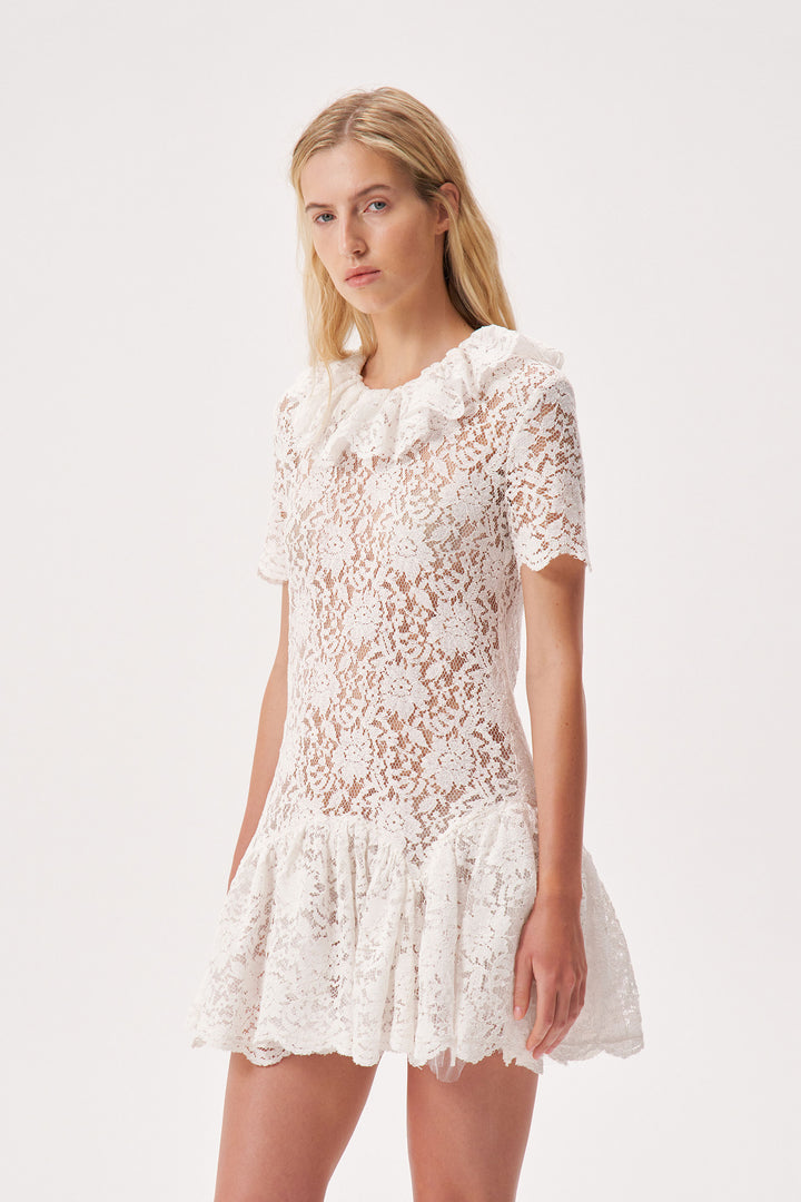 Lace mini dress with a jabot collar